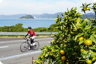 しまなみ海道サイクリング：大三島外周コースを自転車で走行するシーン